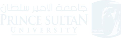 جامعة الأمير سلطان